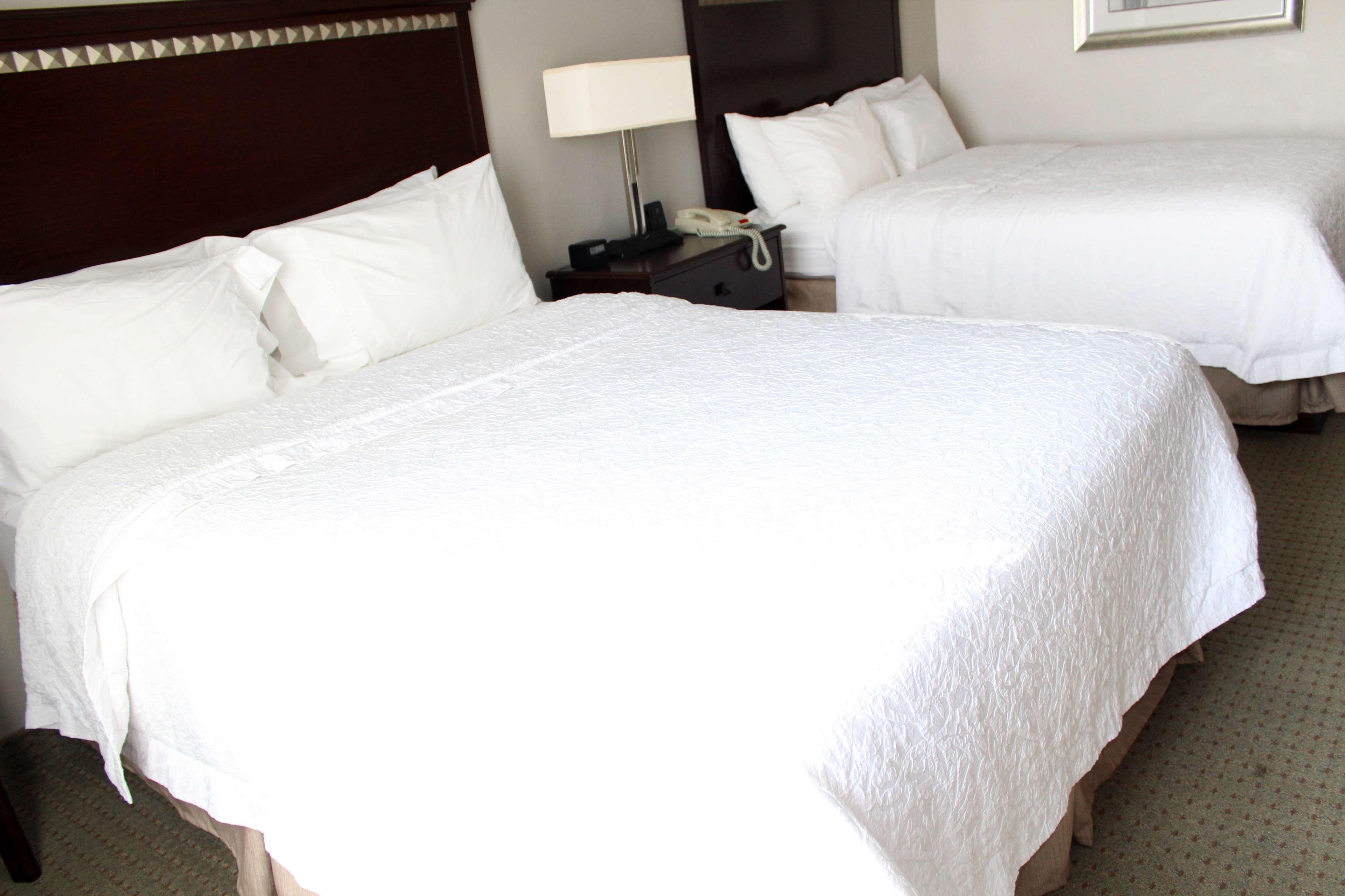 Hampton & 3* Mount Pleasant